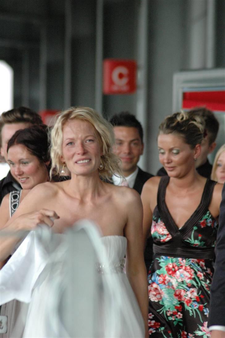 Sportsaraber (A) Dabita DSAH NR. ÆB 217 R:I:P - Da jeg kom trækkende med Dabita. Se lige min søster. billede 3