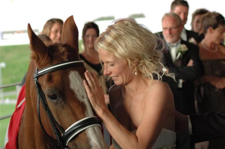 Sportsaraber (A) Dabita DSAH NR. ÆB 217 R:I:P - Og de kan kende hinanden. billede 5