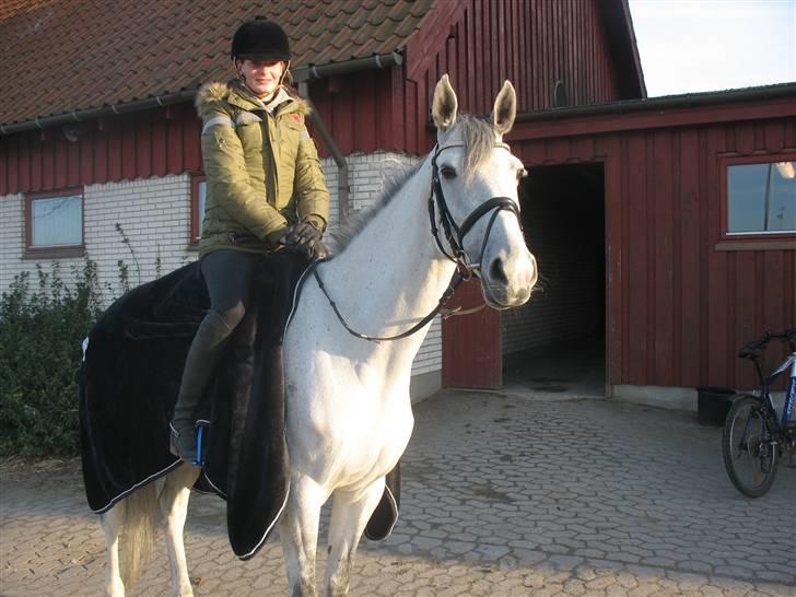 Dansk Varmblod Loretta - Solgt :'( billede 13