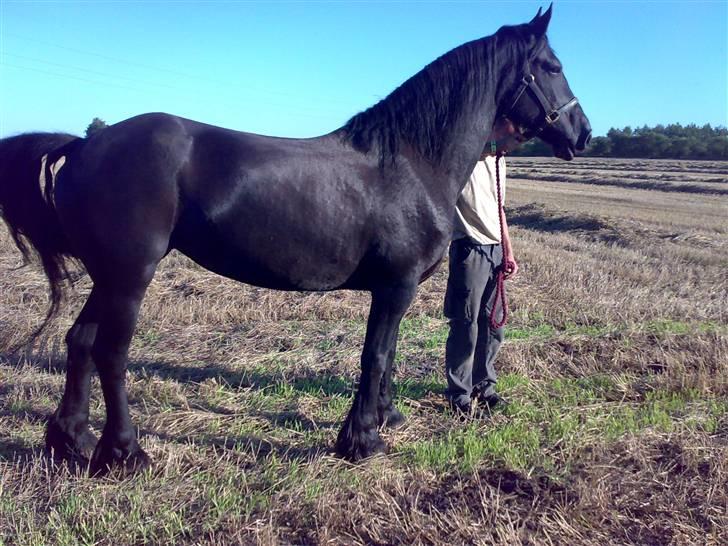 Frieser Joukje Oldaa J - se hende lige billede 6