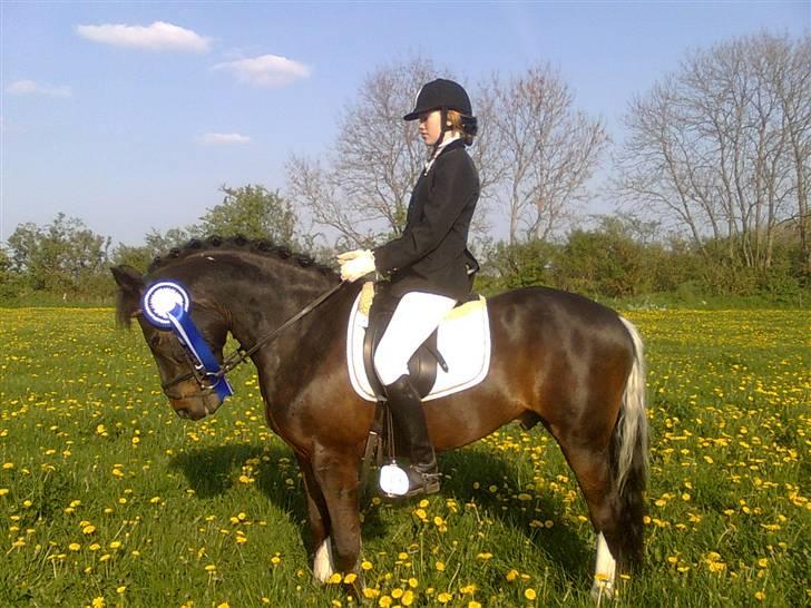 Anden særlig race Bette Hansen billede 19