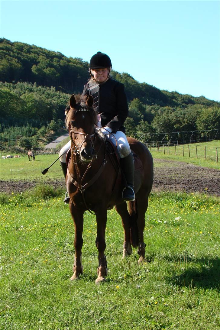 Anden særlig race Ibrahim <3<3<3 solgt billede 7