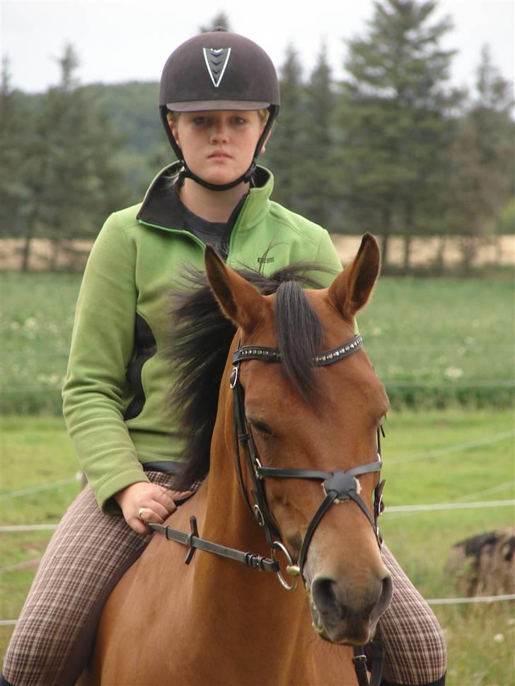 DSP Burton´s Dream *Solgt* billede 12