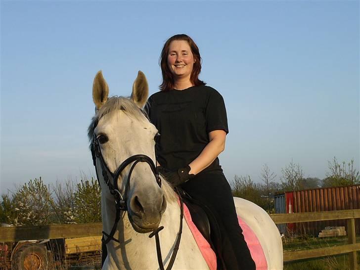 Dansk Varmblod Troldebjergs Rubina - Rubina og Line billede 4