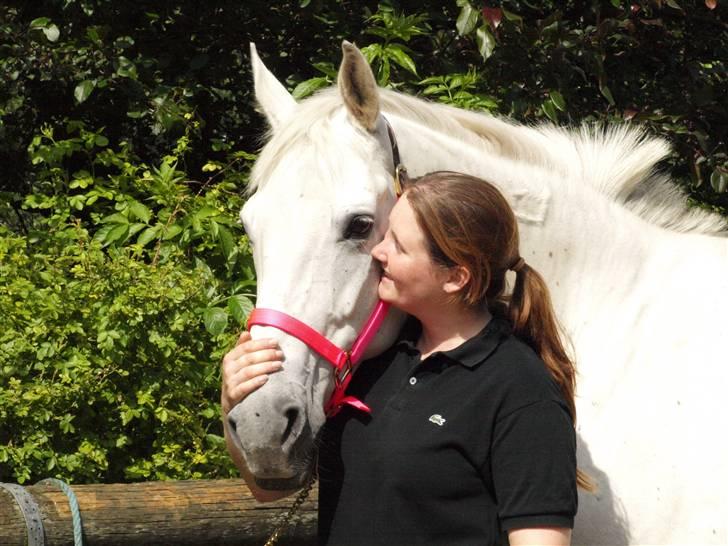 Dansk Varmblod Troldebjergs Rubina - Lidt indianer præget.. billede 12