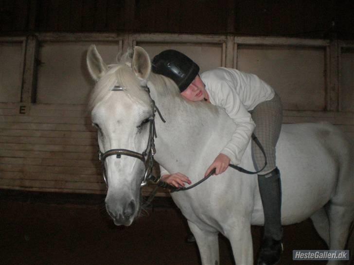 Anden særlig race Ladystar *R.I.P.* - PAUSE!! det har man da lov til at holde billede 9