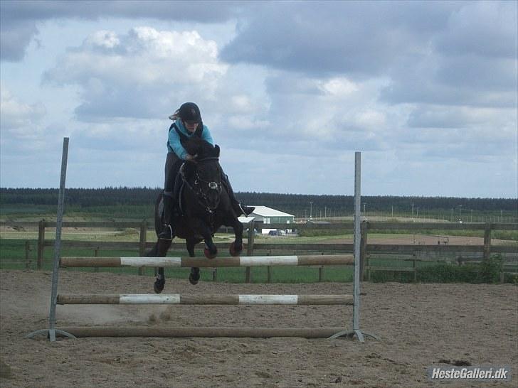 Anden særlig race Alexander<3 - Fordi han er født for at blive elsket af mig! - [Foto - Sarah] billede 2