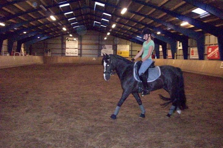 DSP Pirat   billede 11