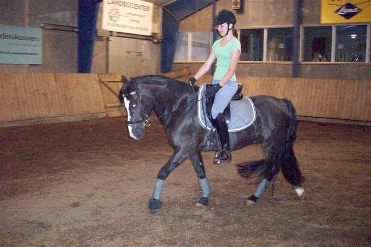 DSP Pirat   billede 12