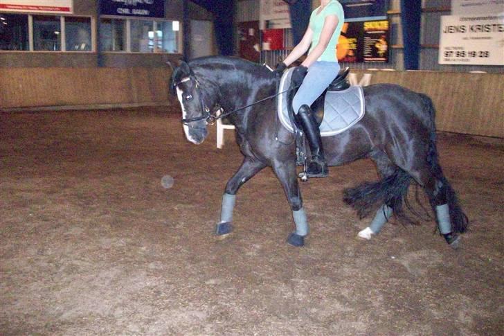 DSP Pirat   billede 13