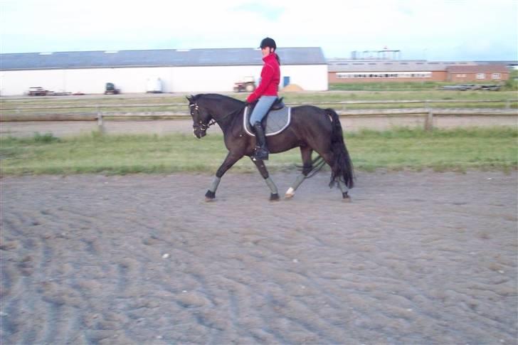 DSP Pirat   billede 14