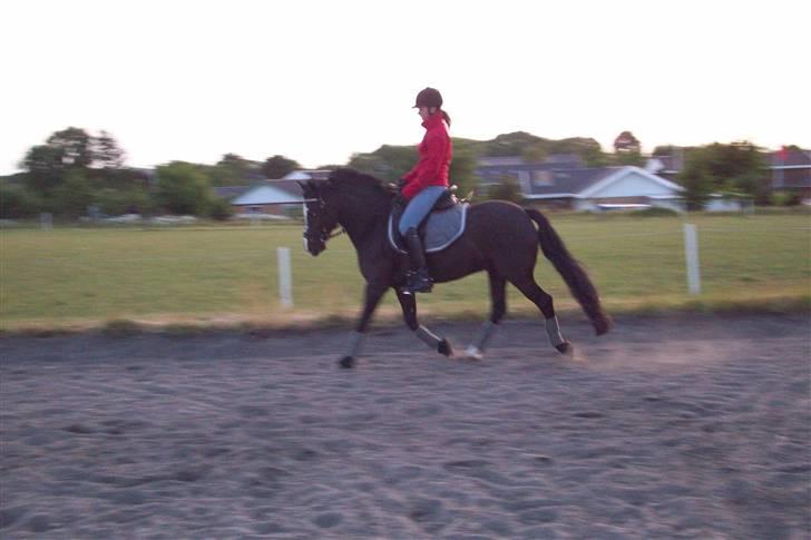 DSP Pirat   billede 15