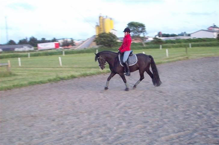 DSP Pirat   billede 16