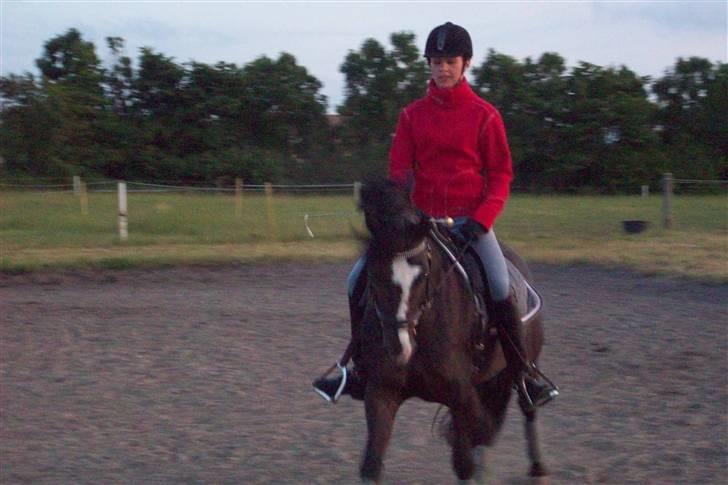 DSP Pirat   billede 17