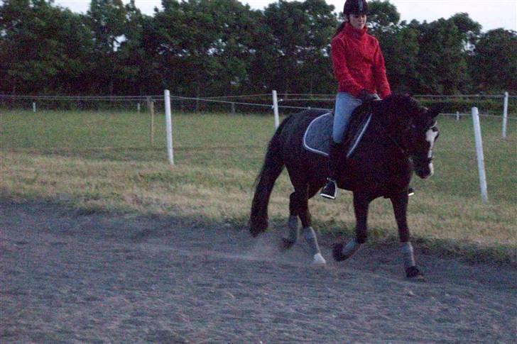 DSP Pirat   billede 18