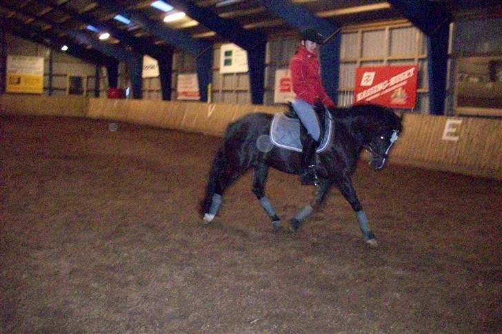 DSP Pirat   billede 19