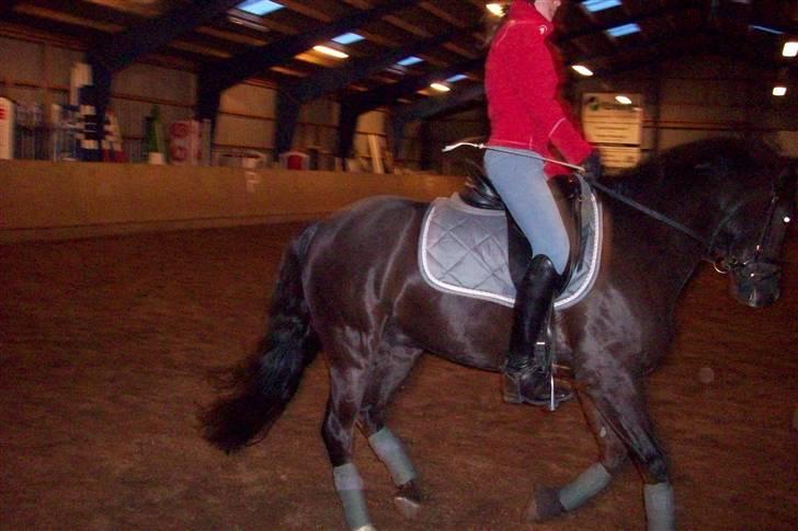 DSP Pirat   billede 20