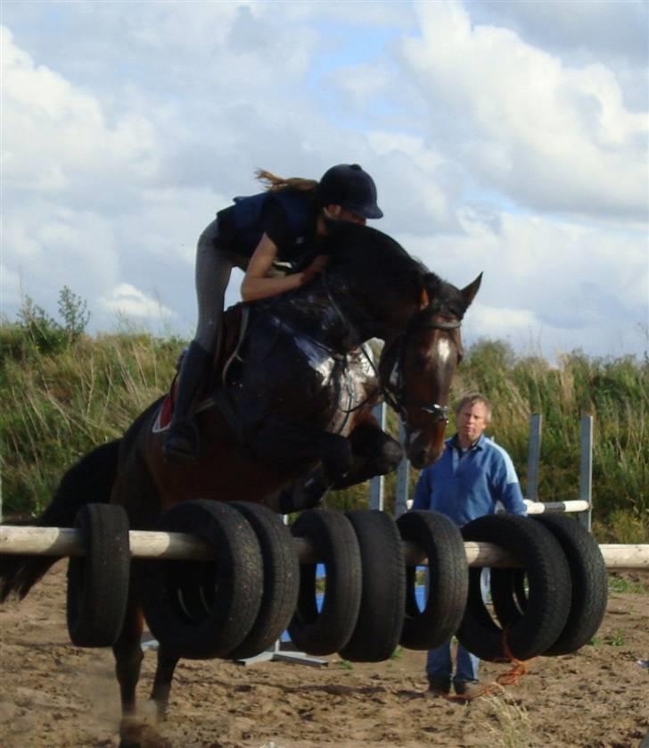 Dansk Varmblod Carter V - Springundervisning. billede 13