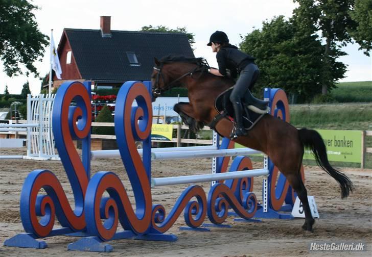 Tysk Sportspony Mirabell  {RIP} - træning i Suså. foto: katrine billede 20