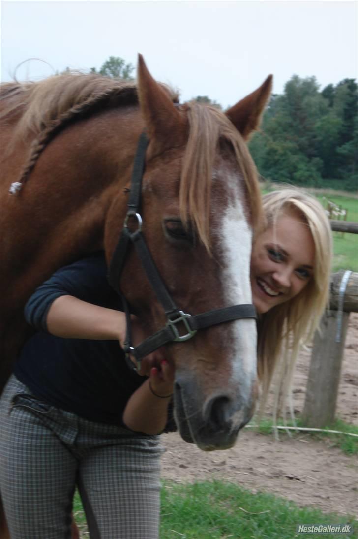 Anden særlig race Difko<3 billede 8