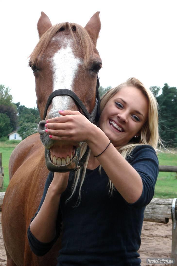 Anden særlig race Difko<3 billede 9