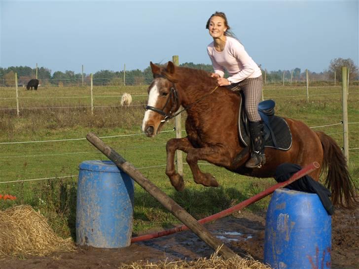 Anden særlig race Difko<3 billede 11