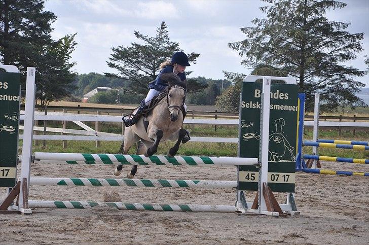 Irsk Sportspony | Irish Spirit - LA på HSK! ;D billede 18