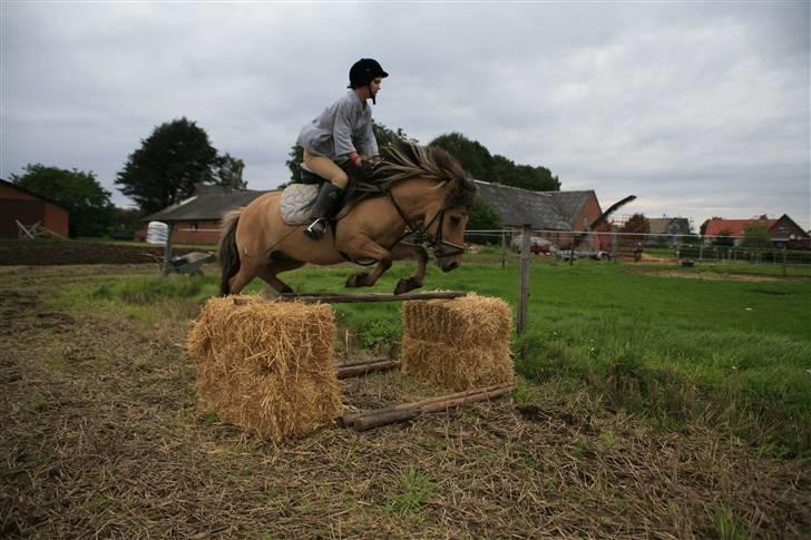 Anden særlig race Zimba / Rex - Spring 5/9 2008 dygtige rex <3 billede 11