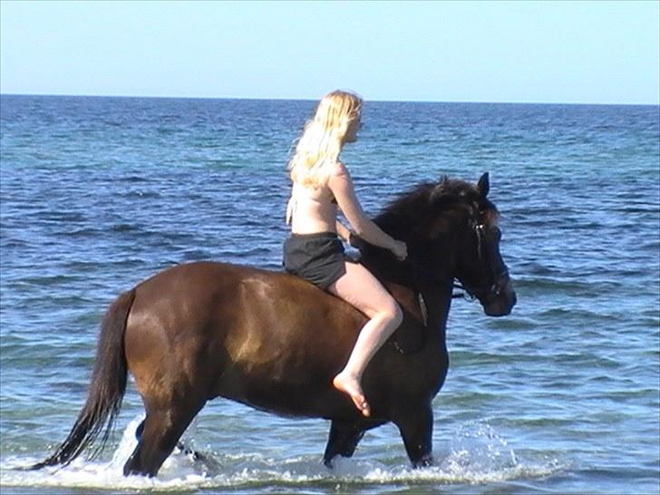 Anden særlig race Bailey - Bailey´s første tur i vandet 2009 billede 5