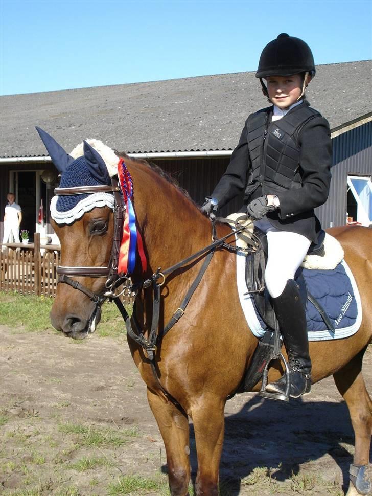 Hollandsk Sportspony Silvana/ solgt - U-LB:) billede 19