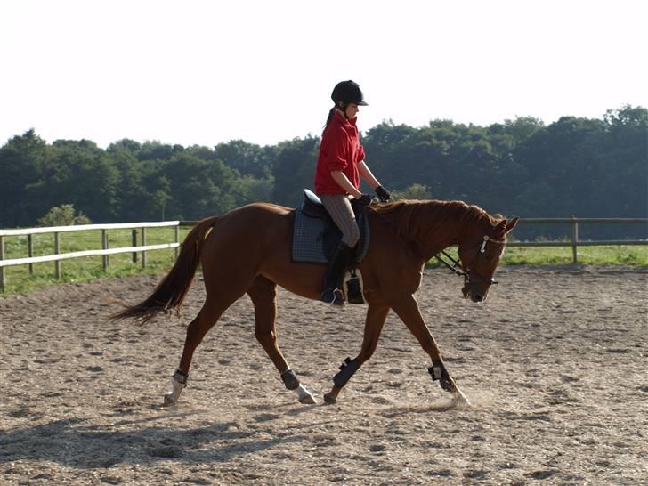 Fuldblod (XX) Pearl Harbor billede 15