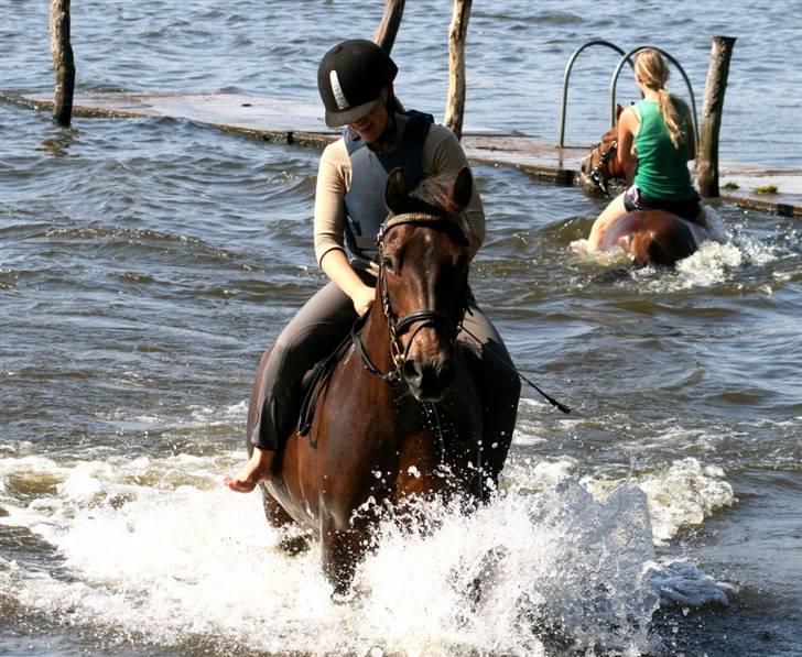 Anden særlig race Freja <3 ¤lækker¤! - løb! Foto: mor billede 18