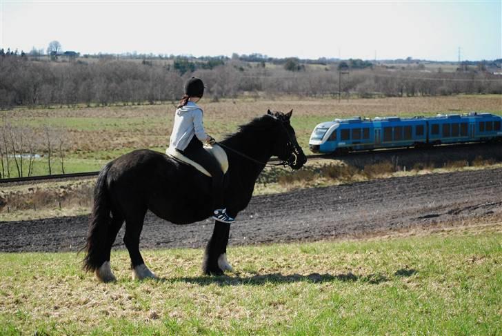 Anden særlig race Pippi - På tur. Vi ser lige toget køre forbi. billede 5