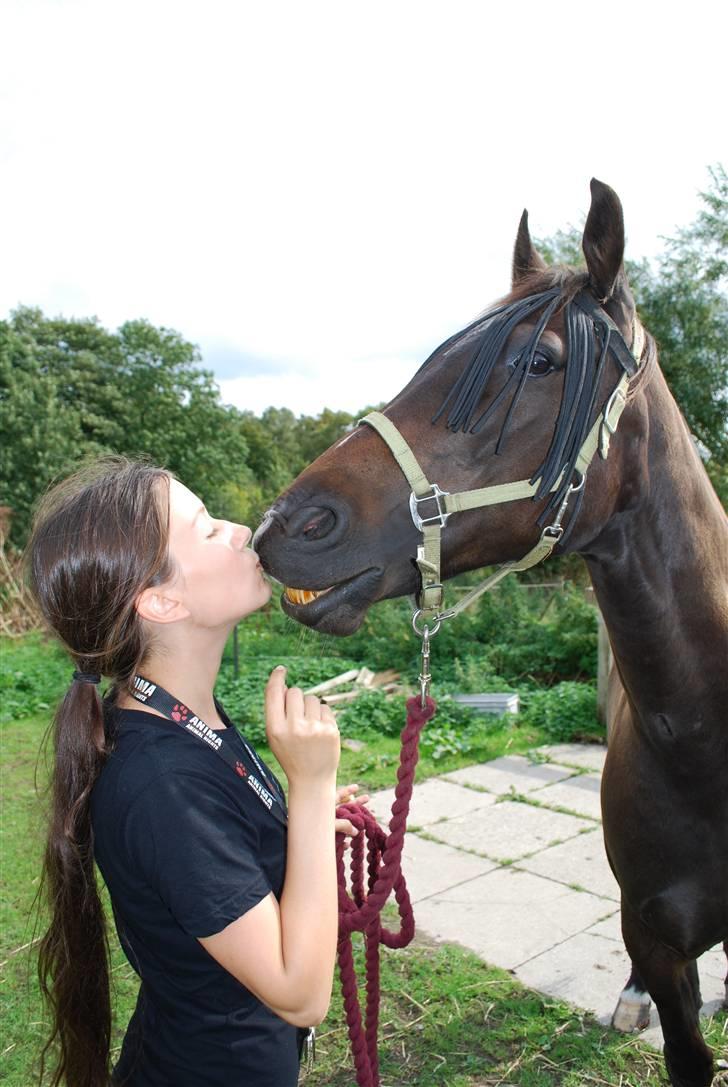Traver Ideal Højbo (Sammy) - Kysse mysse billede 3