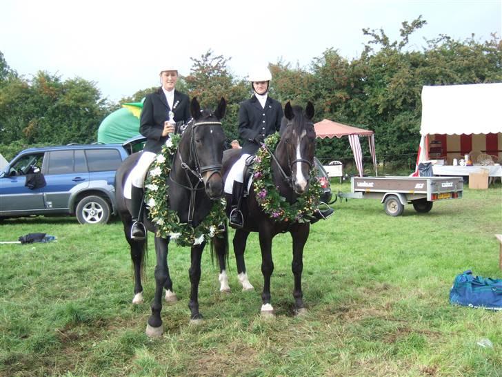 Anden særlig race Rex - SÅDAN billede 4