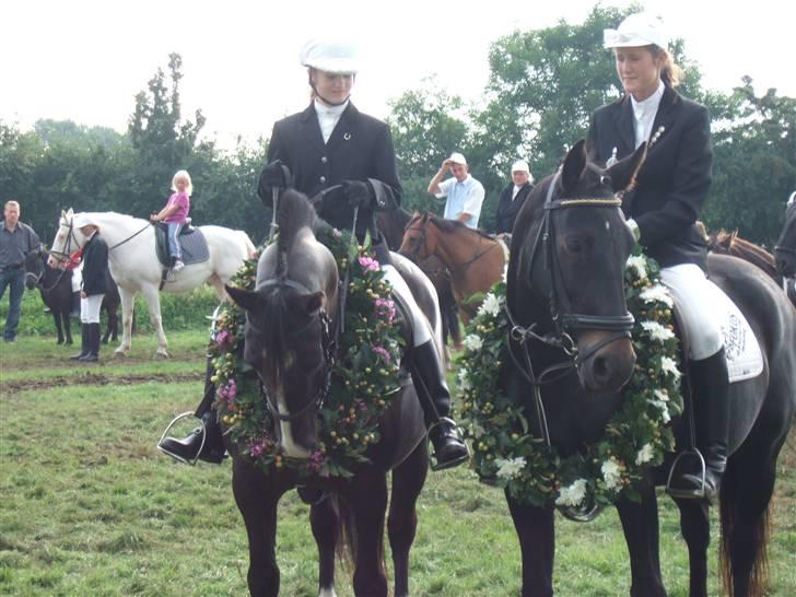Anden særlig race Rex - Rex er altså rigtig, rigtig god til ringridning...!  billede 5