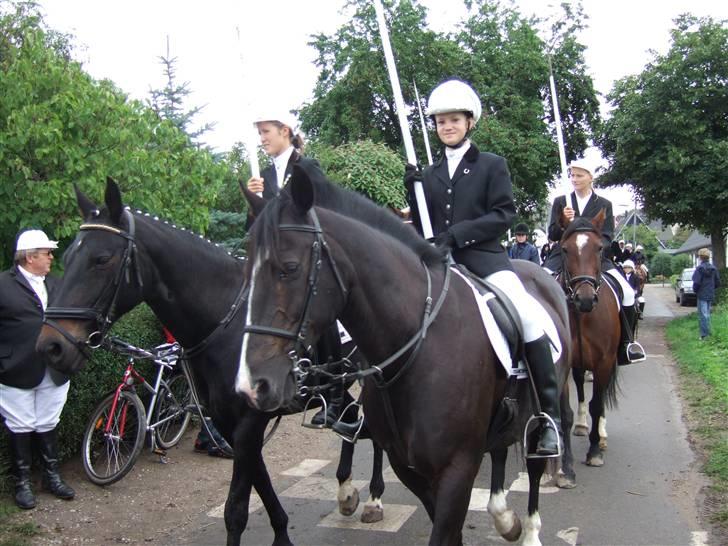 Anden særlig race Rex billede 6