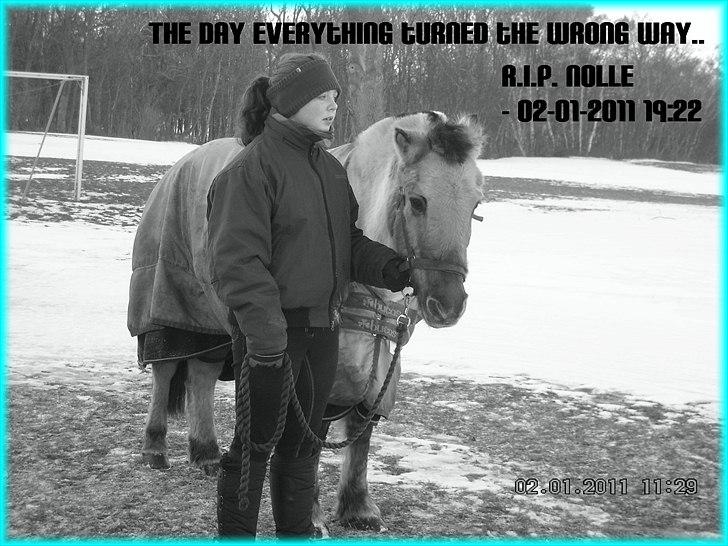 Anden særlig race HURs NOLLE | R.I.P. /':  - 20) I loved you once. I love you still. I always have, and I always will I: <3 billede 20