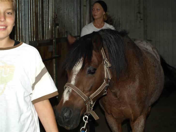 DSP Sonny Boy - Joakhim og Sonny <33 -Billedet må ikke bruges af andre! Copyrigth! billede 2