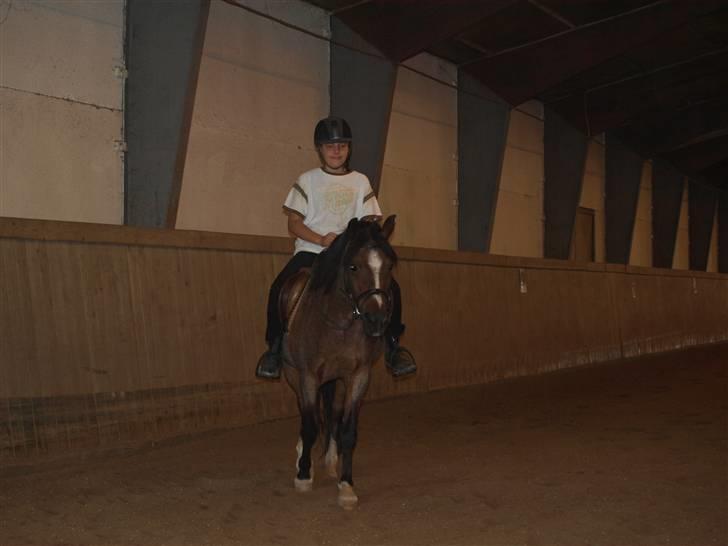 DSP Sonny Boy - Sonny g Joakhim -Billedet må ikke bruges af andre! Copyrigth! billede 4