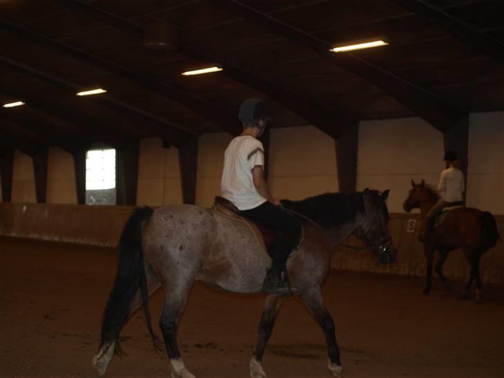 DSP Sonny Boy - Sonny og Joakhim -Billedet må ikke bruges af andre! Copyrigth! billede 5