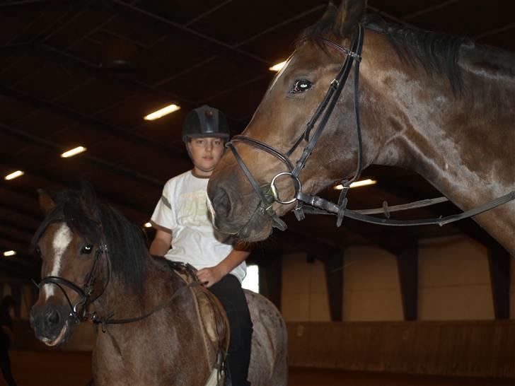 DSP Sonny Boy - Sonny og hans bedste ven Valdemar. den stakkels Valdemar har en sygdom skal måske aflives =´( <33 -Billedet må ikke bruges af andre! Copyrigth! billede 6