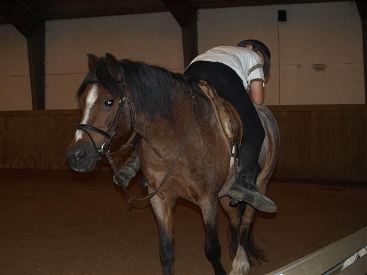 DSP Sonny Boy - 25 år og man kan alt Joakhim og Sonny <33-Billedet må ikke bruges af andre! Copyrigth! billede 7