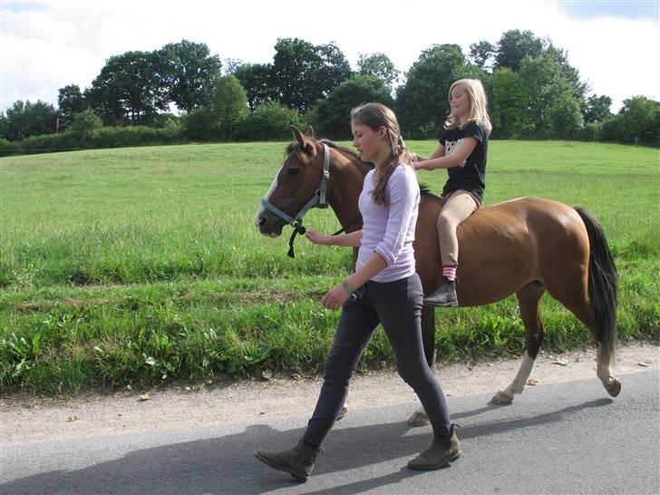 Anden særlig race Diana - Blir´ skridtet af mig og gamle ejer ved siden af:P billede 1