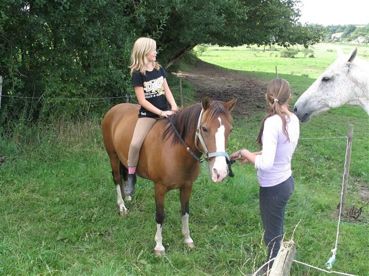 Anden særlig race Diana - igen endelig ved folden q; hehe billede 2