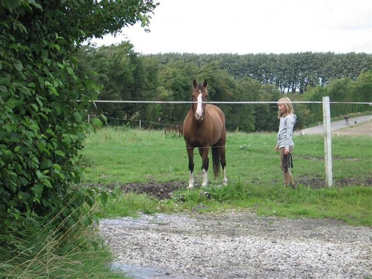 Anden særlig race Diana - på fold Håhå hun har smidt sin grime jeg fandt den i den anden ende af folden:D billede 6