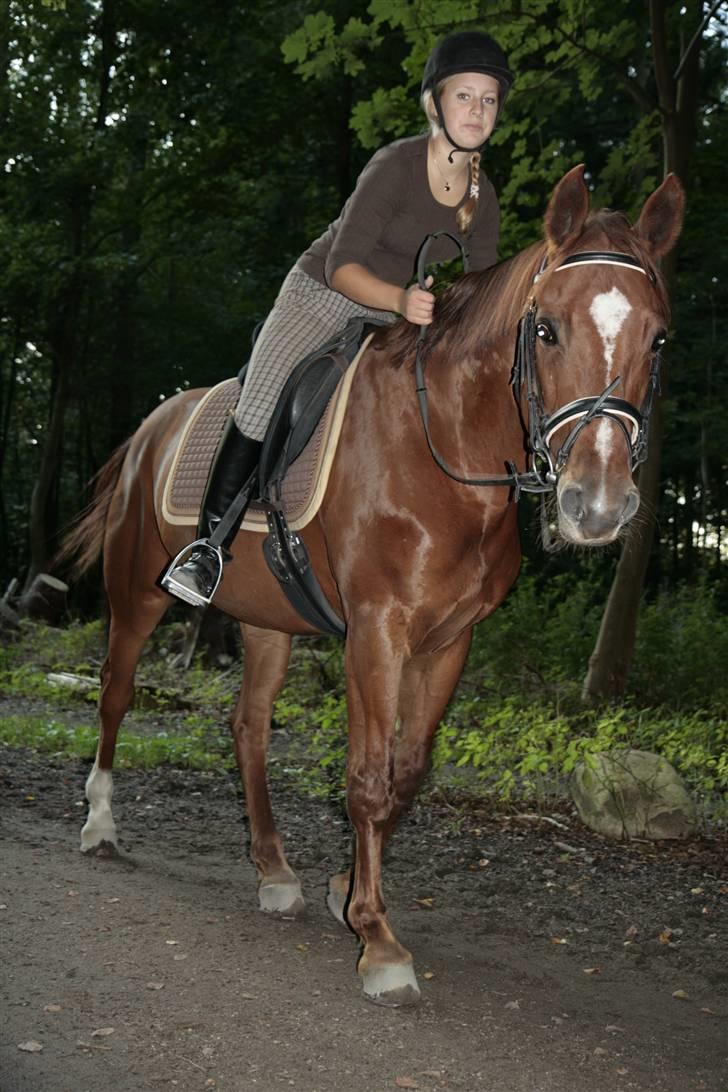 Anden særlig race May Carnation - Anne og May i skoven, ultimo 2008 eller 2009. Foto: Sten Mårup billede 7