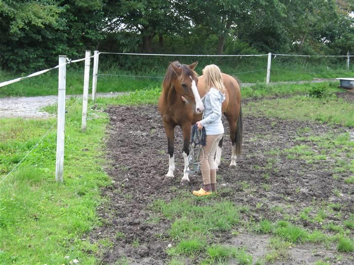 Anden særlig race Diana - Hun er så sødx) billede 7