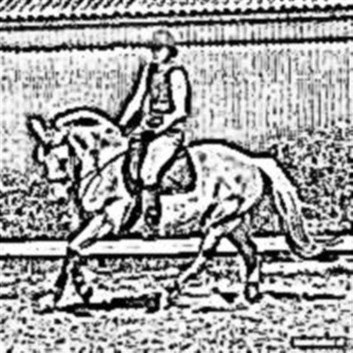 Fjordhest Prins solgt - Min prins - tregnet;) billede 14