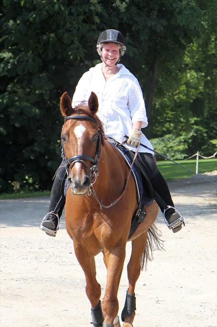 Anden særlig race May Carnation - Træt, rød og tilfreds :) Juli 2010 billede 9